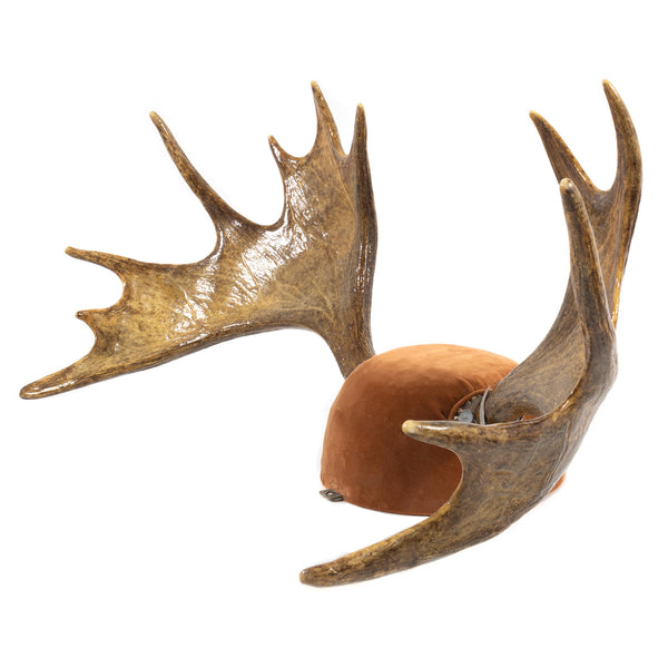 Antlered Moose Skull Plate