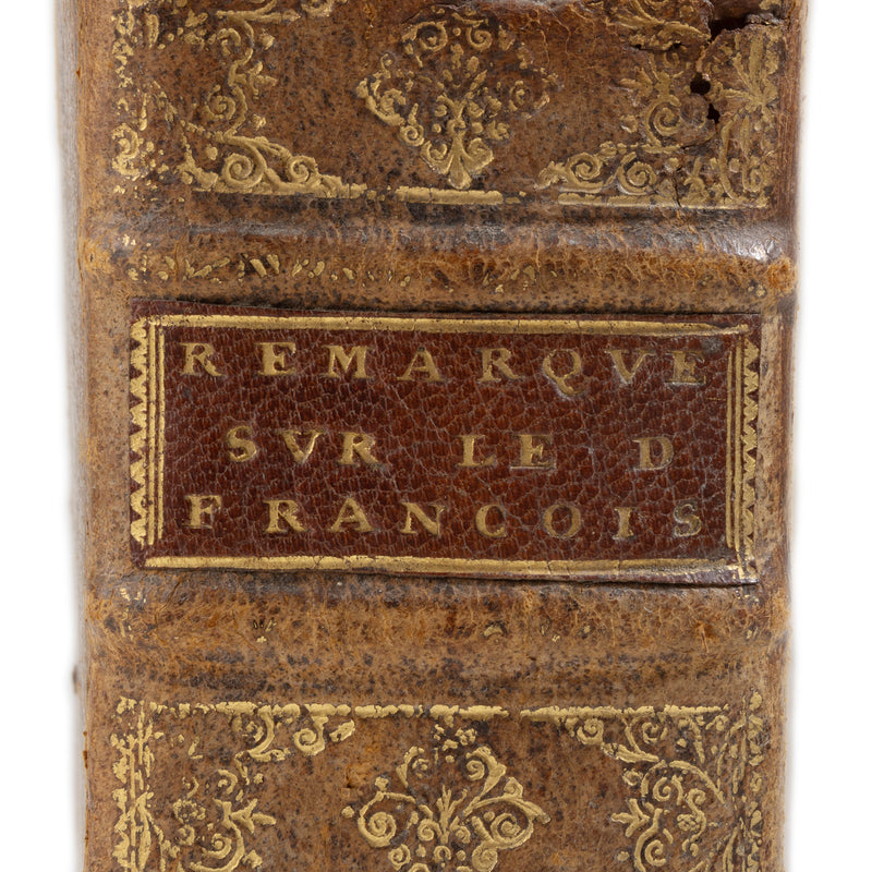 "Remarques du Droict Francois" (Notes on French Law)